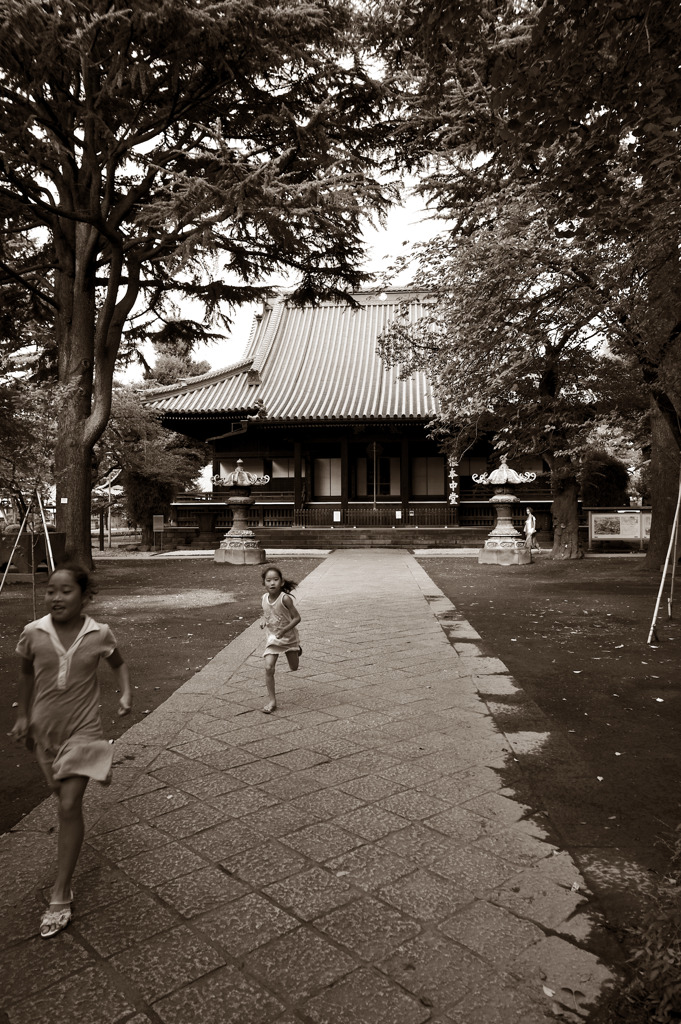 寛永寺根本中堂