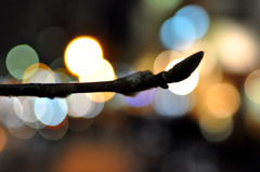 神戸元町夜景３