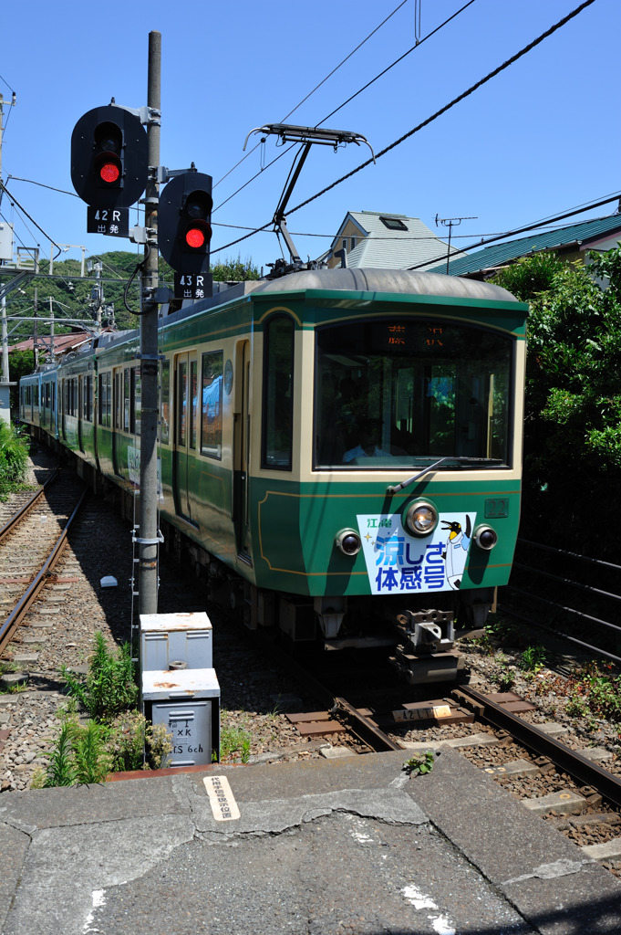 涼しさ体感号