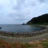 温海海岸