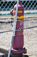 紫の消火栓