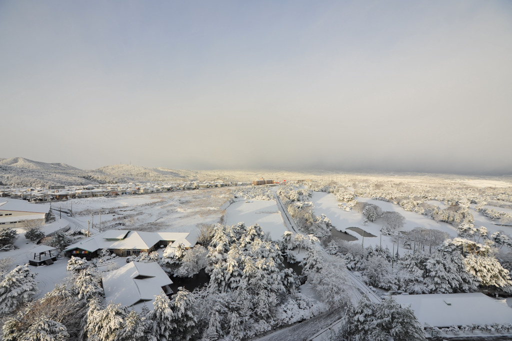 仙台雪景