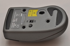 ネズミのおなか