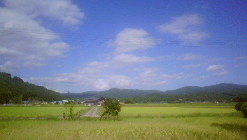 秋の空