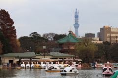 塔と堂