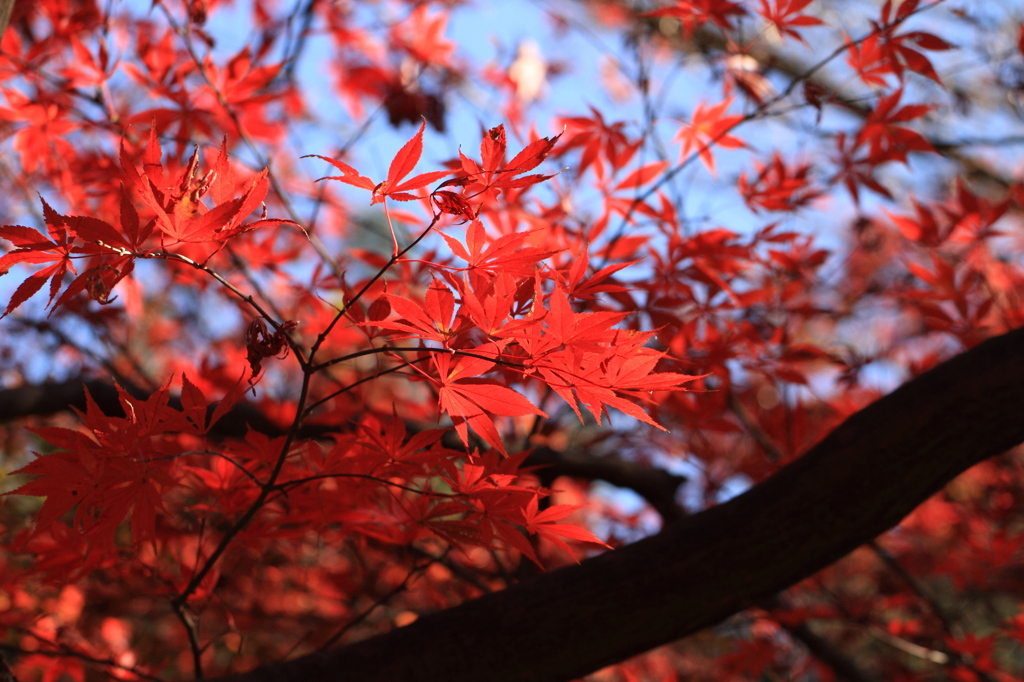 とある都会の公園で　３