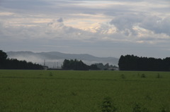 早朝の田園