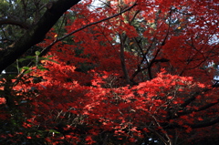 とある都会の公園で　２