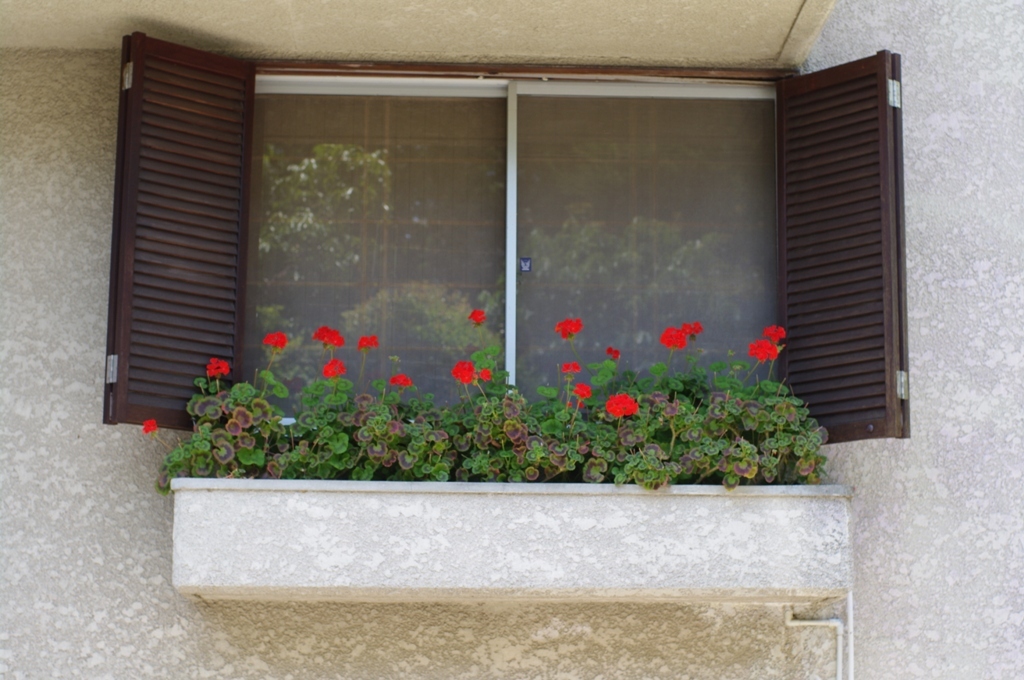 Balcony and Red Flowers