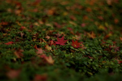 RED,GREEN,YELLOW