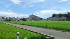 帰り道-自転車-