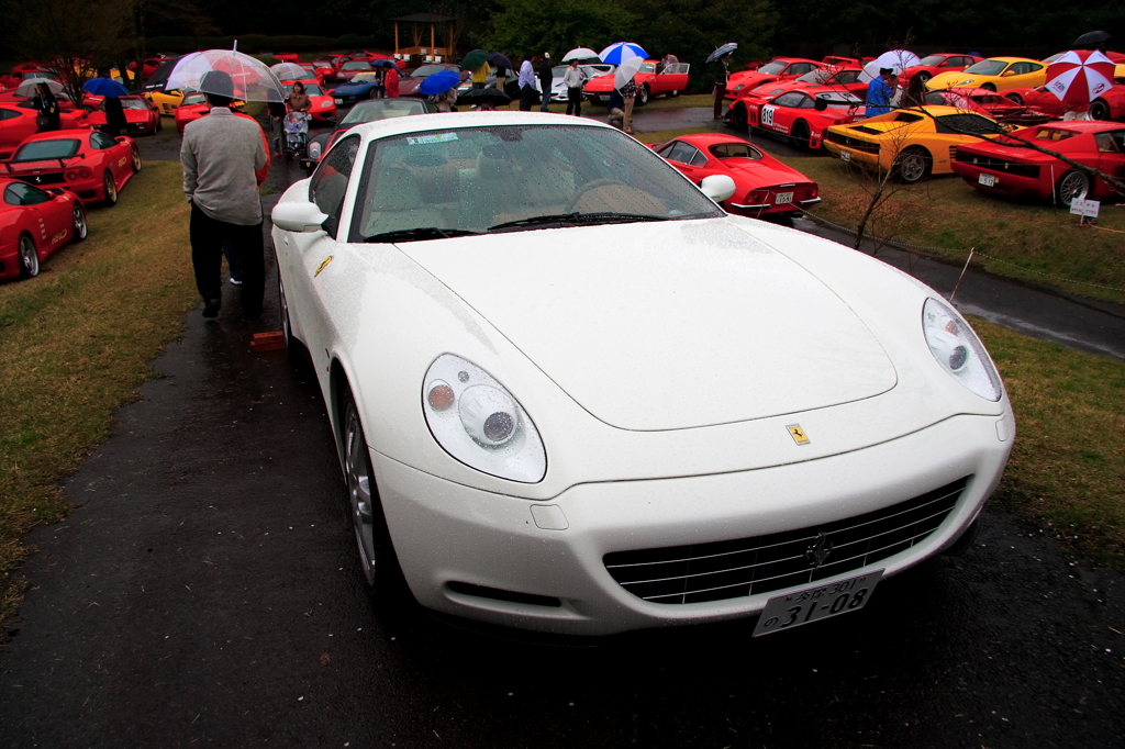 Ferrari festival