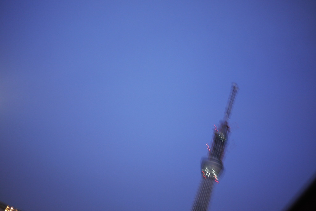 _1010207