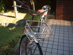 old my bicycle
