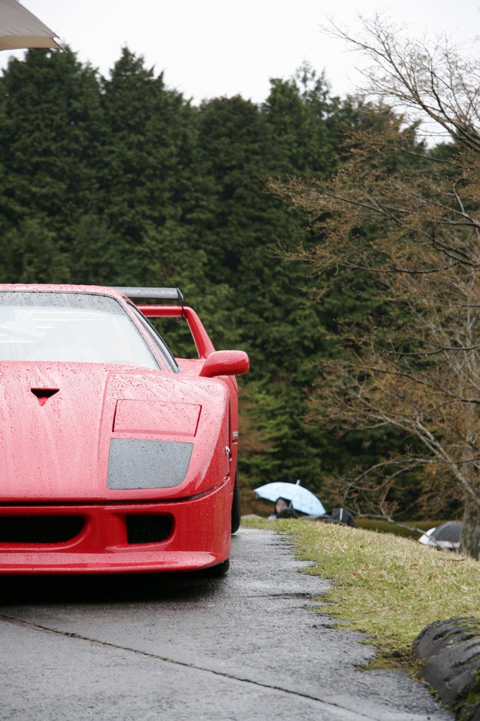 Ferrari festival