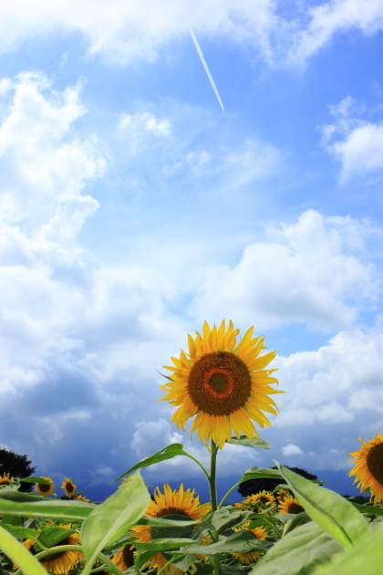 bIMG_11-08-24_027