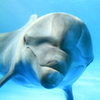 sIMG_10-11-03_315