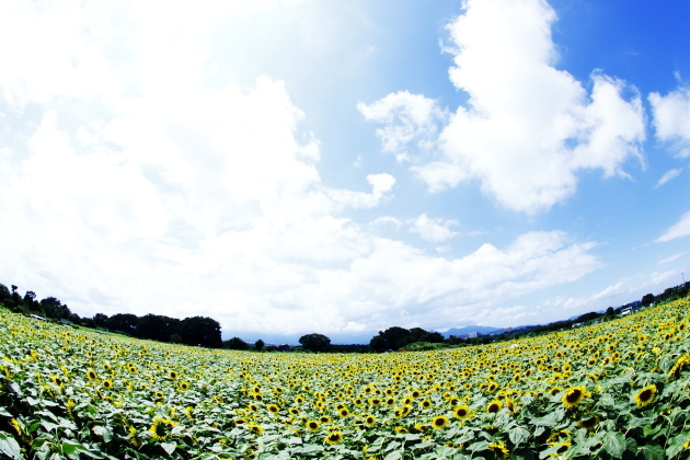 bIMG_11-08-24_022