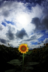 bIMG_11-08-24_031