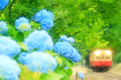 霧の中を