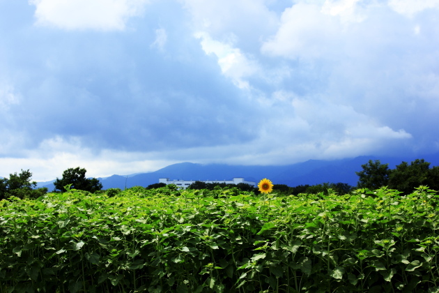 bIMG_11-08-24_020