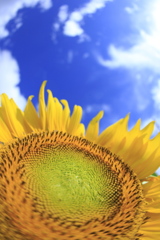 bIMG_11-08-24_042