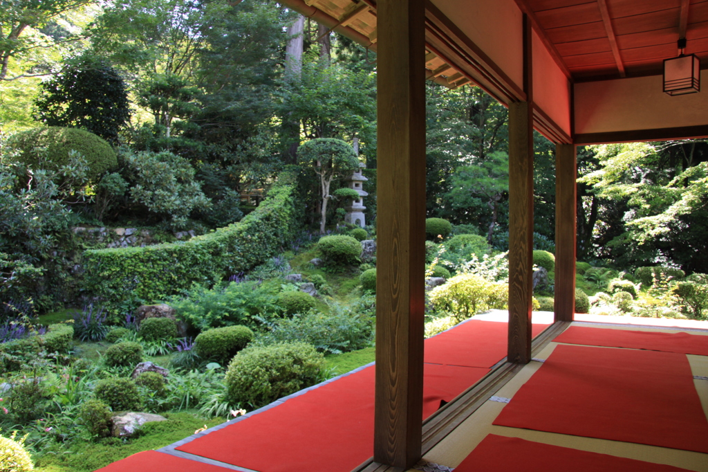 三千院　庭園