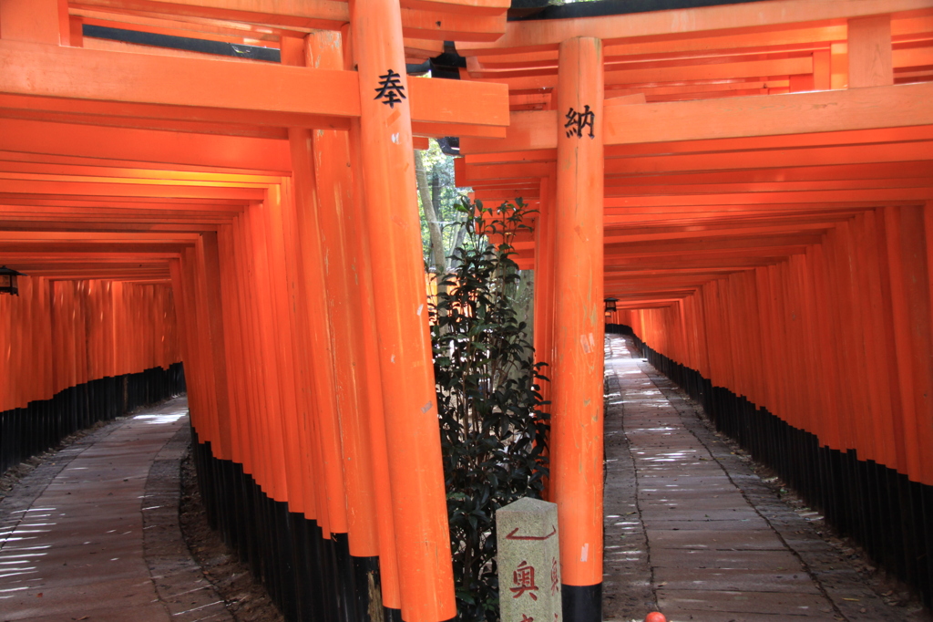 千本鳥居