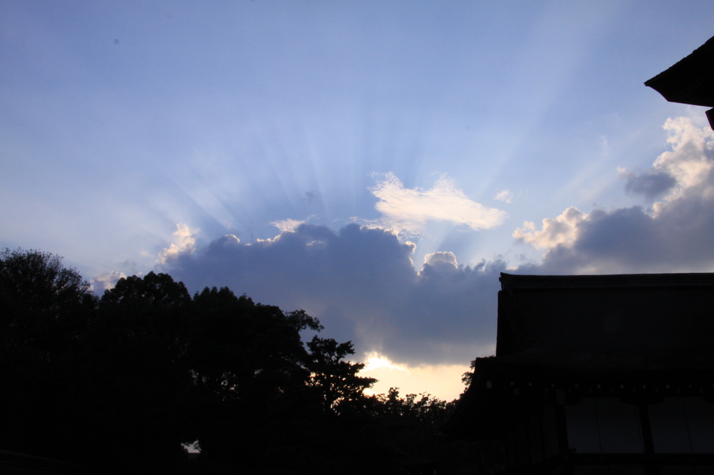 空のある風景　京都・下賀茂神社