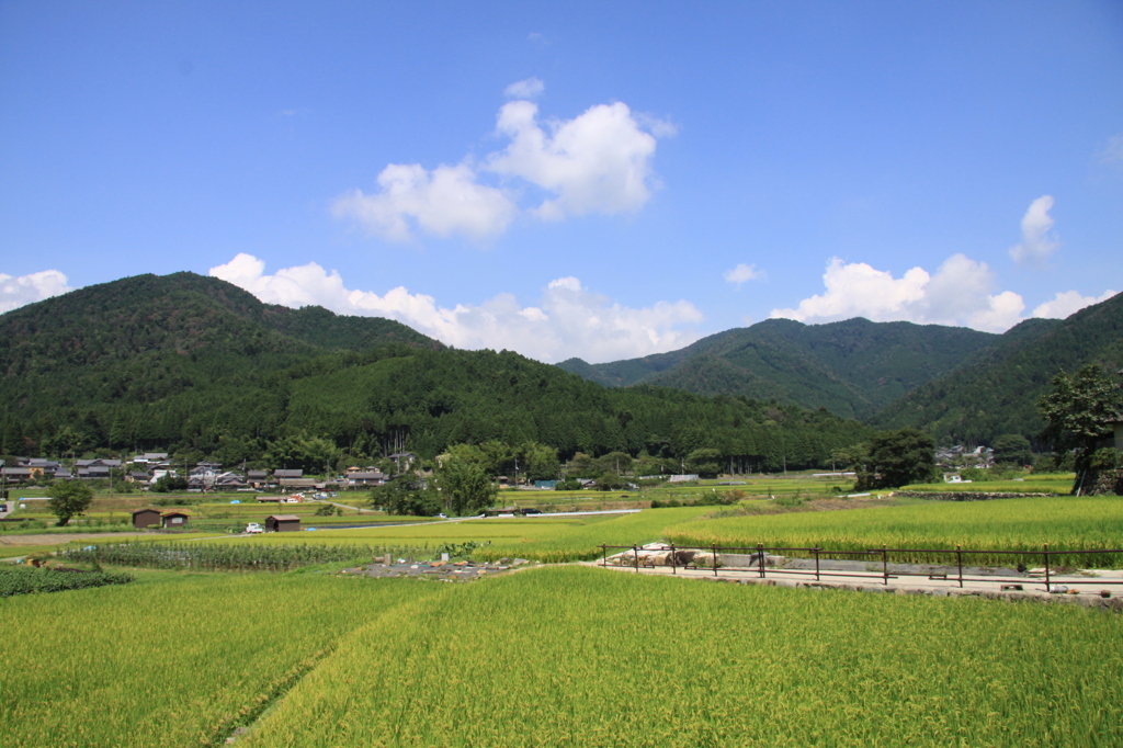 大原の里