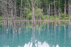 青い池