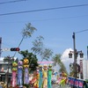 CIMG7200