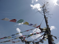 Tibetan flags in Nepal
