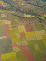 colorful field in Burma
