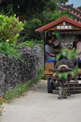 竹富