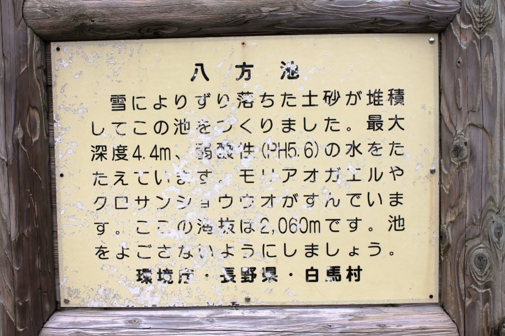 IMG_0632-八方池看板