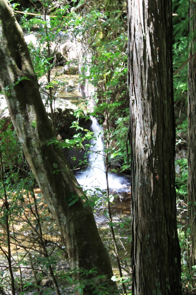 乳岩峡には幾つもの滝が点在