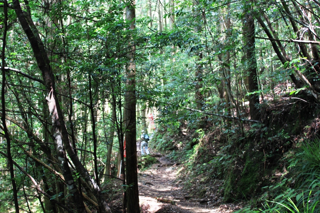 ハイカー明神山へ