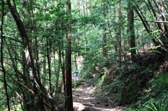 ハイカー明神山へ