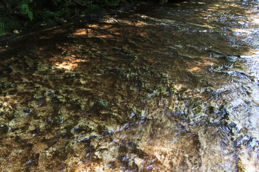 板敷岩のせせらぎ