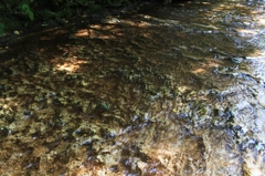 板敷岩のせせらぎ