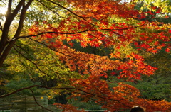 森林公園２