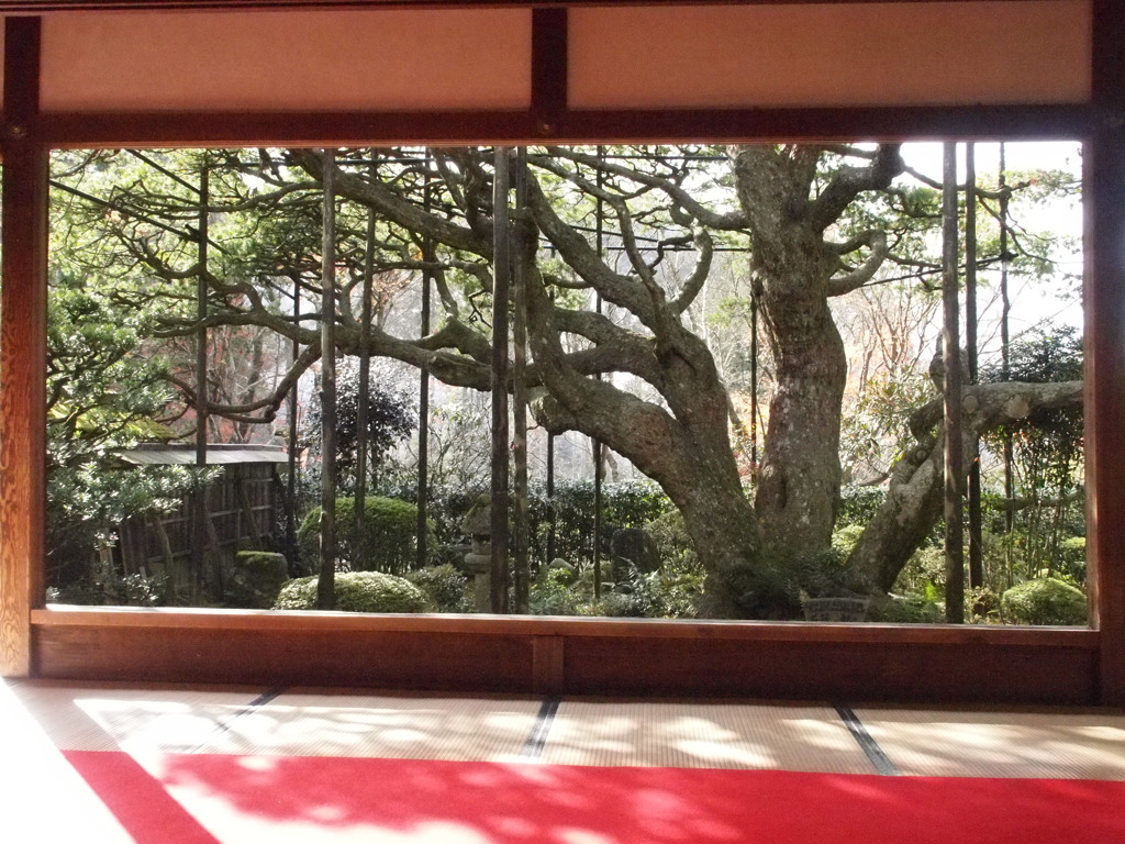 京都大原三千院