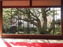 京都大原三千院