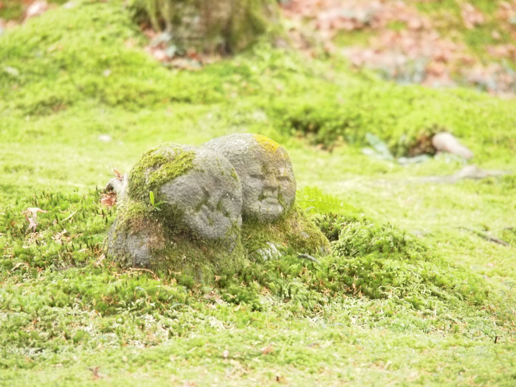 京都　大原三千院