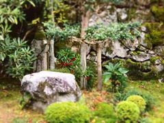 京都大原三千院