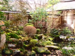 京都　大原三千院