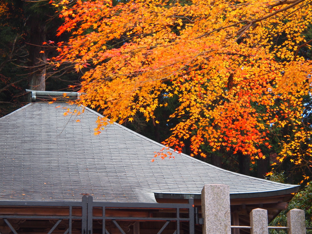 京都大原三千院