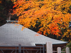 京都大原三千院