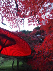 紅葉
